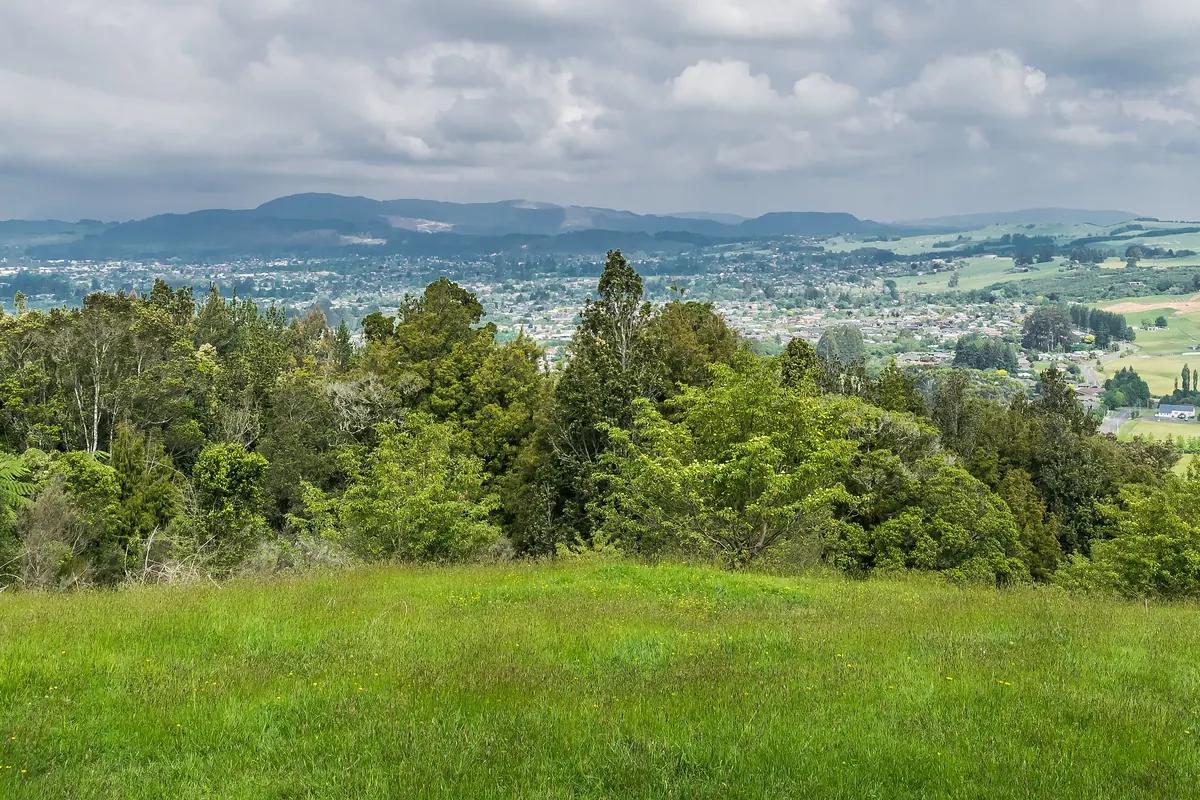 Un mirador en una ladera herbosa contempla retazos de bosque y verdes tierras de cultivo hasta colinas bajas bajo un cielo con nubes dispersas