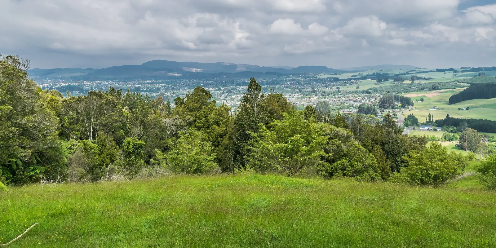 Grønne indhegninger og pletter af oprindelig skov, der løber ned mod landbrugsjord og lave bakker, set fra et udsigtspunkt på en skråning oven over Ngongotahā på en dag med brudt skydække